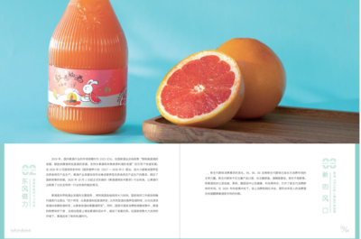 喔喔簡報(bào) 兔子喔喔招商產(chǎn)品手冊